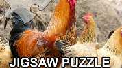 Jigsaw Puzzle Domesticated Animals